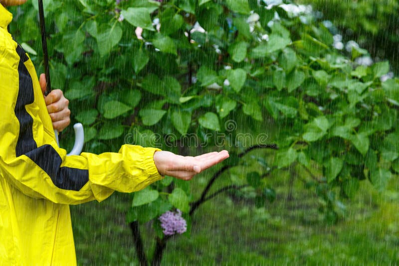 De jongen in gele regenjas houdt transparante Paraplu tijdens de regen en hand tot gevoelsregendruppels Regenachtig weer bij de l royalty-vrije stock foto's De jongen in gele regenjas houdt transparante Paraplu tijdens de regen en hand tot gevoelsregendruppels Regenachtig weer bij de l royalty-vrije stock foto's
