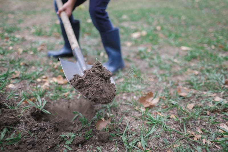 De jongen graaft in de herfst de grond in het park Gewerkt proces stock afbeelding De jongen graaft in de herfst de grond in het park Gewerkt proces stock afbeelding