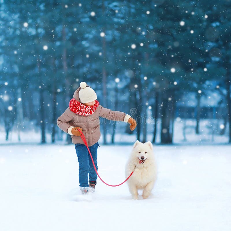 Christmas happy teenager boy running playing with white Samoyed dog on snow in winter day, flying snowflakes. Christmas happy teenager boy running playing with white Samoyed dog on snow in winter day, flying snowflakes