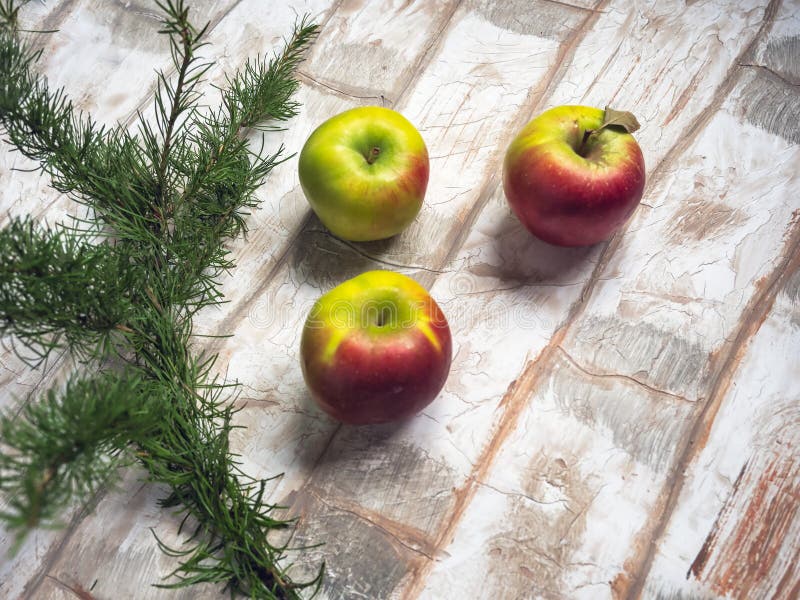 De kaart van de nieuwjaargroet, appelen, een twijg van lariks op een achtergrond die een metselen imiteren stock fotografie De kaart van de nieuwjaargroet, appelen, een twijg van lariks op een achtergrond die een metselen imiteren stock fotografie