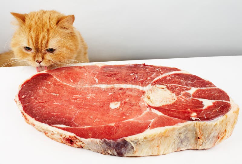 Мясо для кошки картинка для детей. Мясо для кошек купить