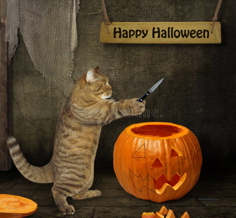 De kat snijdt pompoen voor Halloween 2 royalty-vrije stock foto De kat snijdt pompoen voor Halloween 2 royalty-vrije stock foto