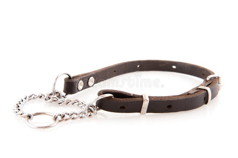 De ketting van de hond stock fotografie De ketting van de hond stock fotografie