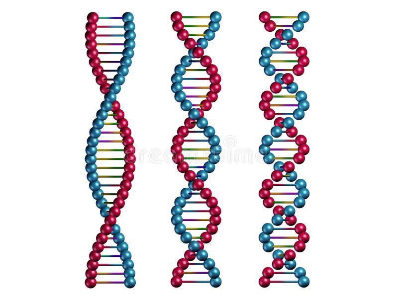 DNA-ketens royalty-vrije illustratie