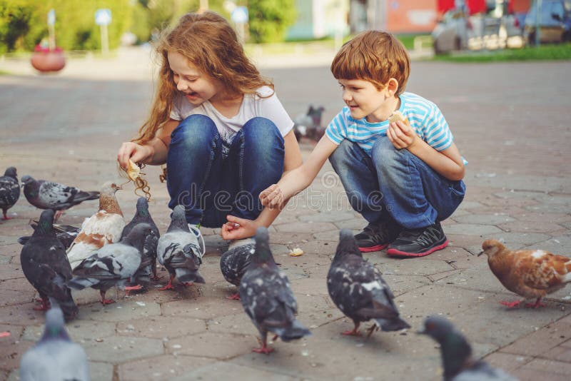 De kinderen voedt duiven met brood in de straat stock foto's De kinderen voedt duiven met brood in de straat stock foto's