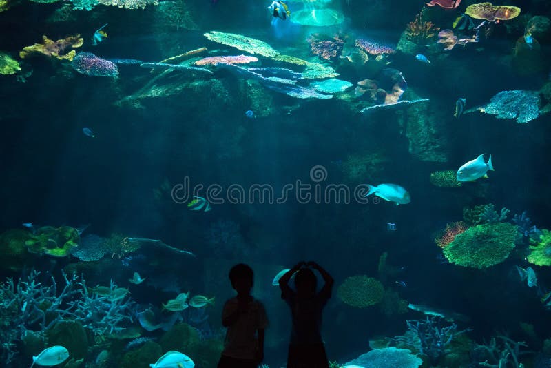 De kinderen waren gelukkig en pret om de wereld te zien onderwater in aquarium