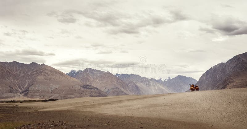 De kleine Caravan van kamelen gaat naar de bergwoestijn stock foto