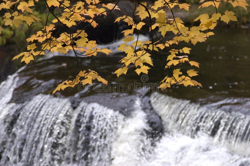 De Kleuren van de daling, Waterval, ToneelLandschap stock fotografie De Kleuren van de daling, Waterval, ToneelLandschap stock fotografie