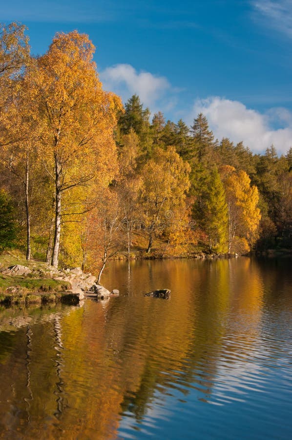 De kleuren van de herfst royalty-vrije stock fotografie De kleuren van de herfst royalty-vrije stock fotografie