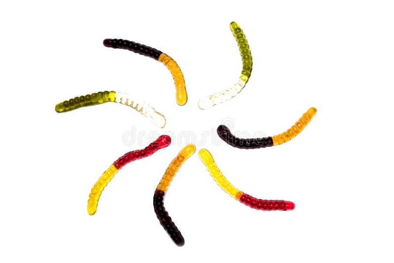 De kleverige wormen worden opgemaakt in een cirkel royalty-vrije stock foto De kleverige wormen worden opgemaakt in een cirkel royalty-vrije stock foto