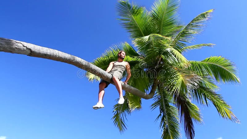 De knappe mens zet op een palm