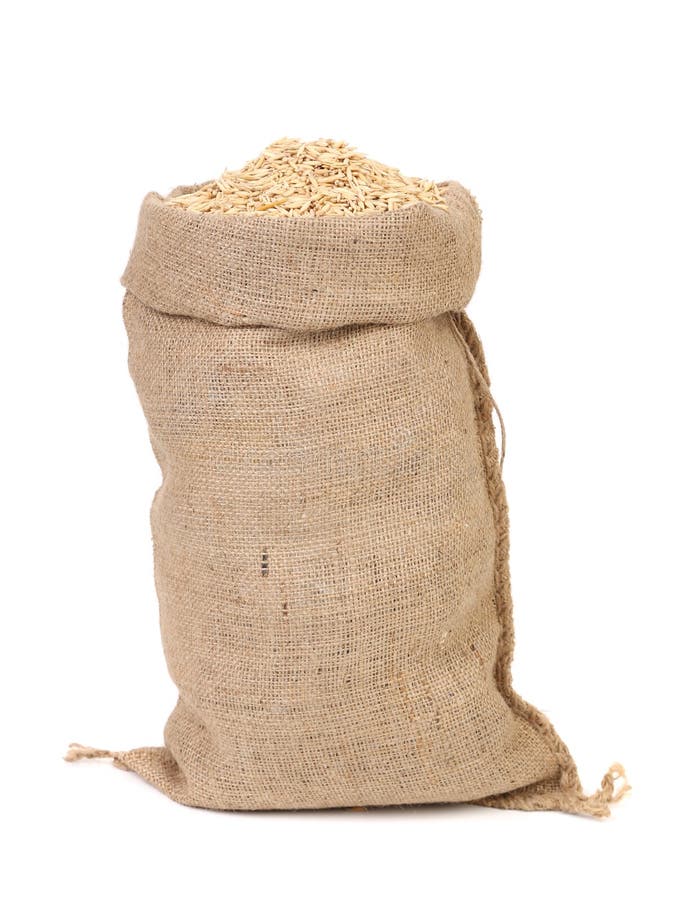 Oat seed grain in burlap sack bag isolated on white background. Oat seed grain in burlap sack bag isolated on white background