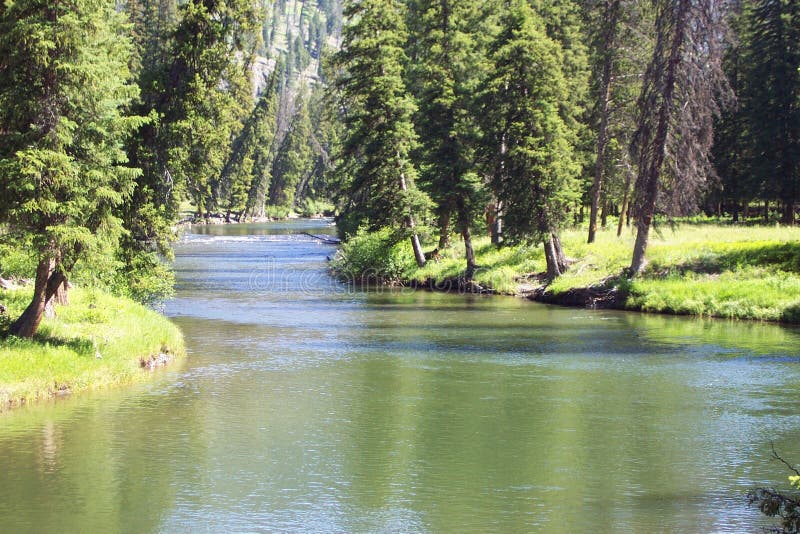 The lazy river, Slough Creek, winds slowly through the forest of Yellowstone National Park during the summer time. The lazy river, Slough Creek, winds slowly through the forest of Yellowstone National Park during the summer time.