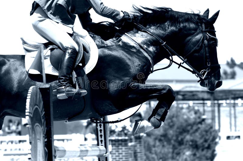 High Contrast, Blue Tone image of equestrian horse and rider jumping over a tall obstacle in a competition - can represent milestones, successes, crossing life's hurdles, etc. (shallow focus). High Contrast, Blue Tone image of equestrian horse and rider jumping over a tall obstacle in a competition - can represent milestones, successes, crossing life's hurdles, etc. (shallow focus).