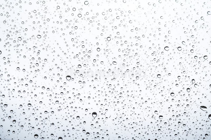 De la lluvia que se coloca sobre un vidrio gotitas de agua sobre el vidrio con el fondo blanco