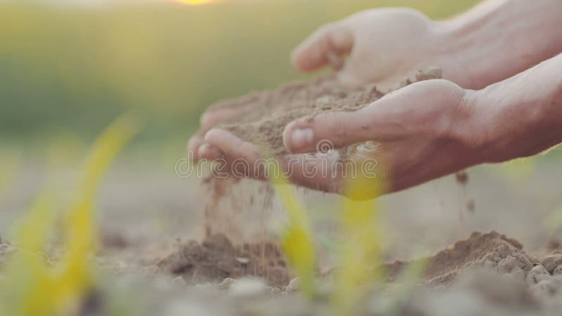 De landbouwer overhandigt het grijpen grond De landbouwachtergrond