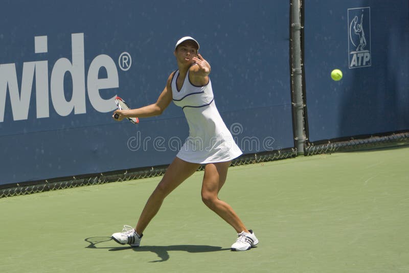 De landelijke Klassieke Speler van het Tennis stock fotografie De landelijke Klassieke Speler van het Tennis stock fotografie