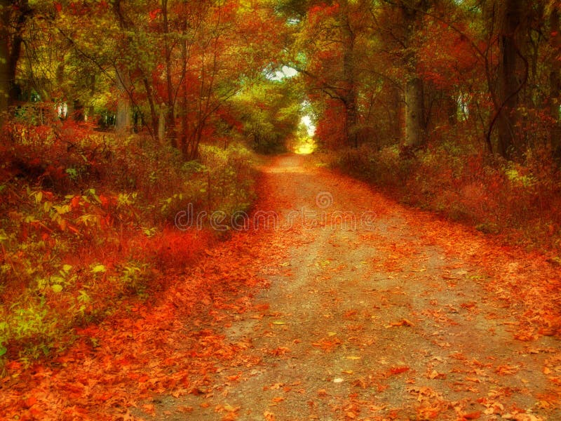 De Landweg van de herfst royalty-vrije stock afbeeldingen De Landweg van de herfst royalty-vrije stock afbeeldingen