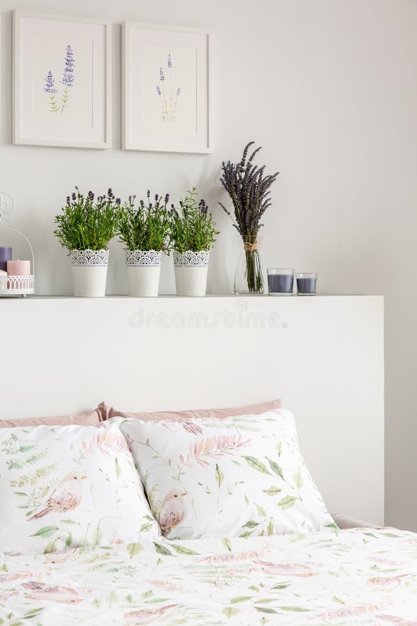 De lavendel bloeit op hoofdeinde van bed met hoofdkussens in wit slaapkamerbinnenland met affiches Echte foto royalty-vrije stock foto's De lavendel bloeit op hoofdeinde van bed met hoofdkussens in wit slaapkamerbinnenland met affiches Echte foto royalty-vrije stock foto's