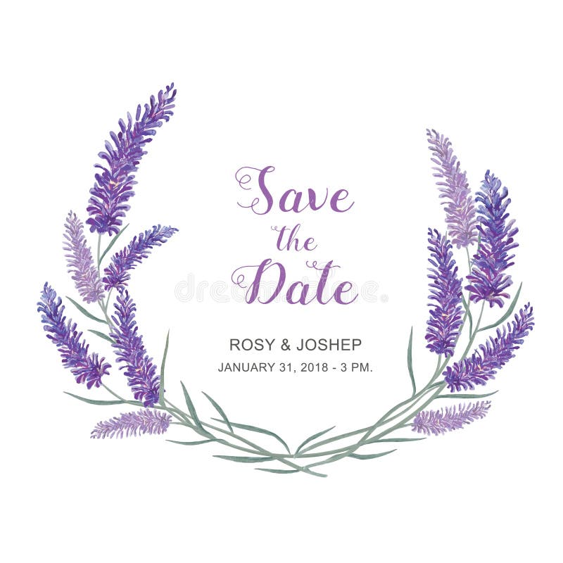 De lavendel bloeit waterverfelementen Inzameling van bloemen en bladeren op een witte achtergrond stock illustratie De lavendel bloeit waterverfelementen Inzameling van bloemen en bladeren op een witte achtergrond stock illustratie