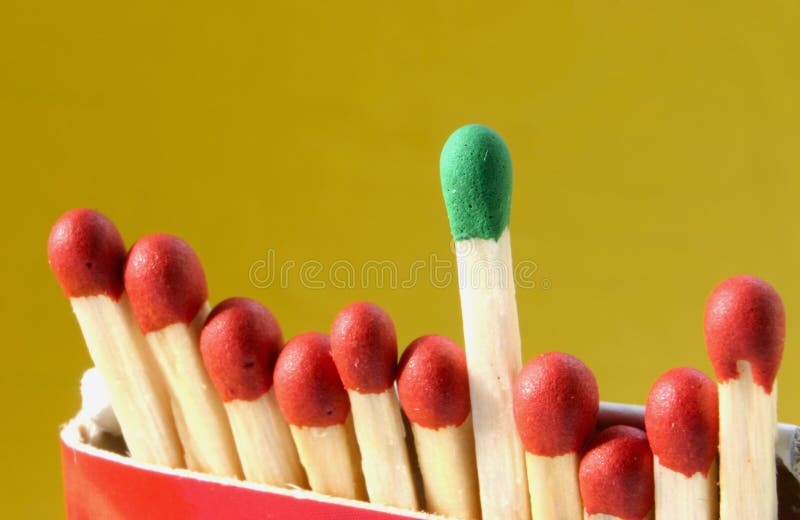 Groepsleider #2 stock foto's