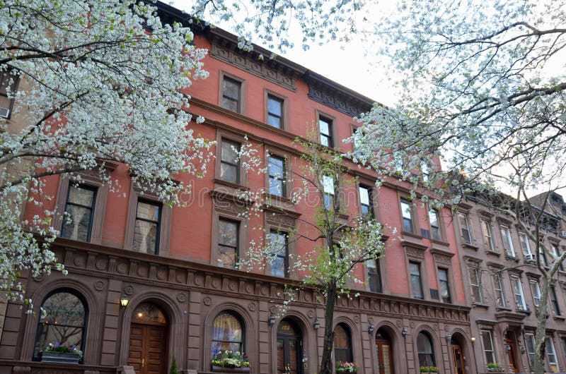 De lente in de Stad van New York, de V.S. stock afbeelding De lente in de Stad van New York, de V.S. stock afbeelding