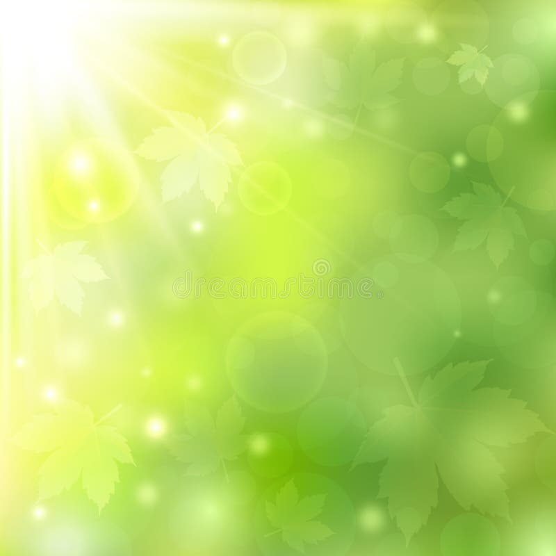De lente of de zomer gaat de zonnige natuurlijke groene achtergrond met bokehlichten en esdoorn weg vector illustratie De lente of de zomer gaat de zonnige natuurlijke groene achtergrond met bokehlichten en esdoorn weg vector illustratie