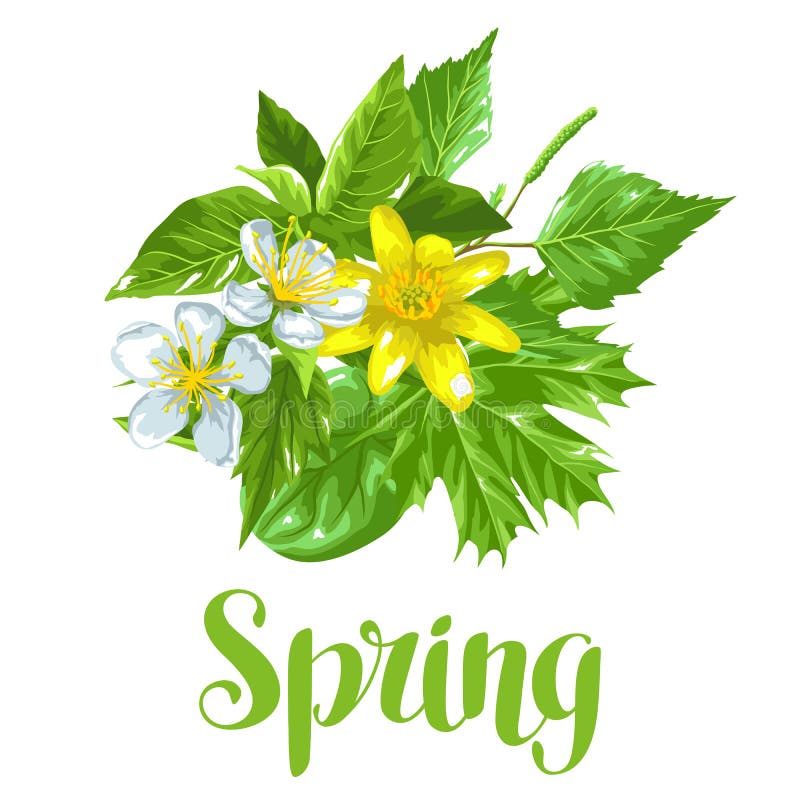 De lente groene bladeren en bloemen Kaart met installaties, takje, knoppen vector illustratie De lente groene bladeren en bloemen Kaart met installaties, takje, knoppen vector illustratie