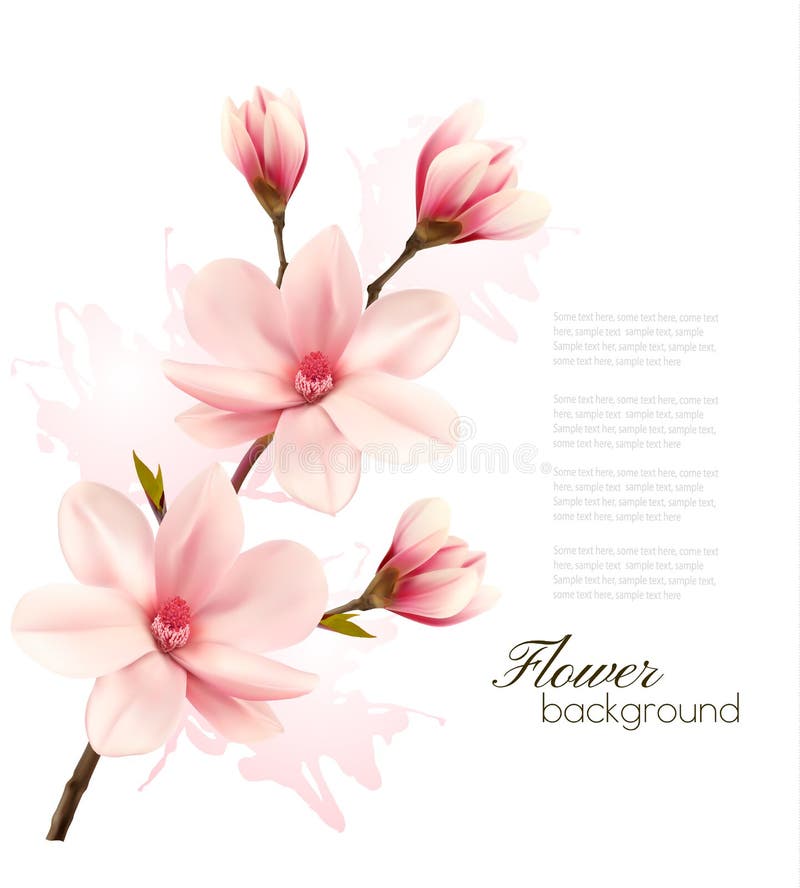 De lenteachtergrond met bloesembrunch van roze bloemen I stock illustratie De lenteachtergrond met bloesembrunch van roze bloemen I stock illustratie