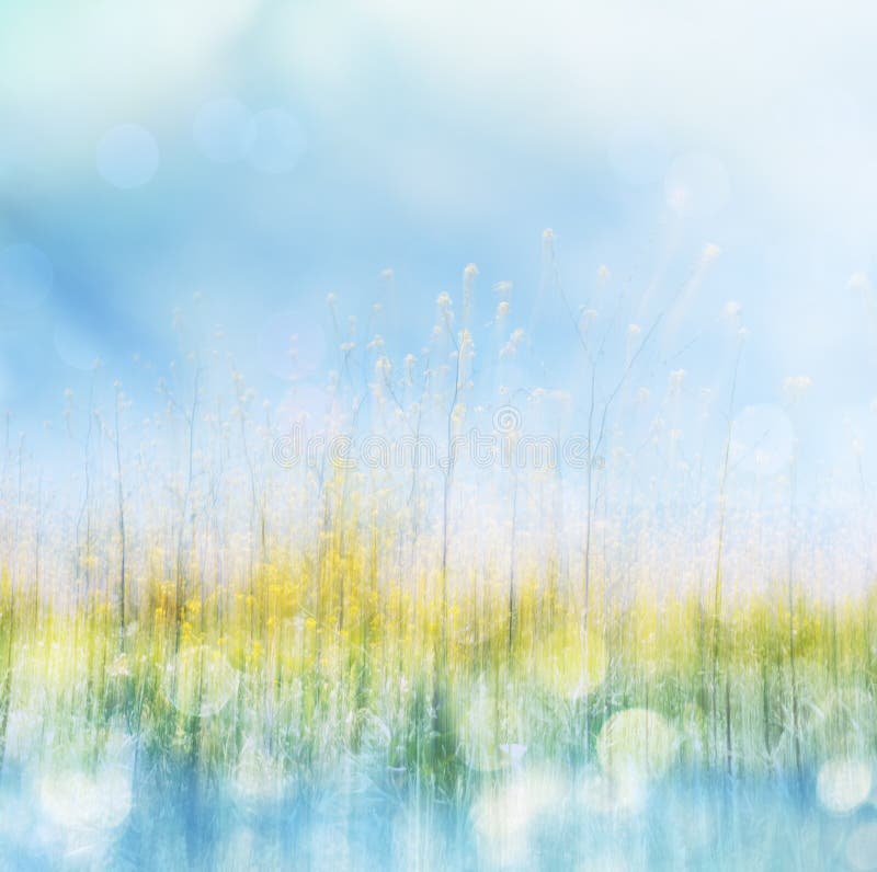 De lentebloem en Bokeh royalty-vrije stock afbeeldingen De lentebloem en Bokeh royalty-vrije stock afbeeldingen