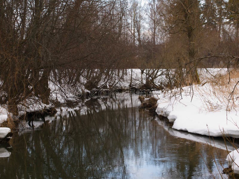 De lenterivier stock fotografie