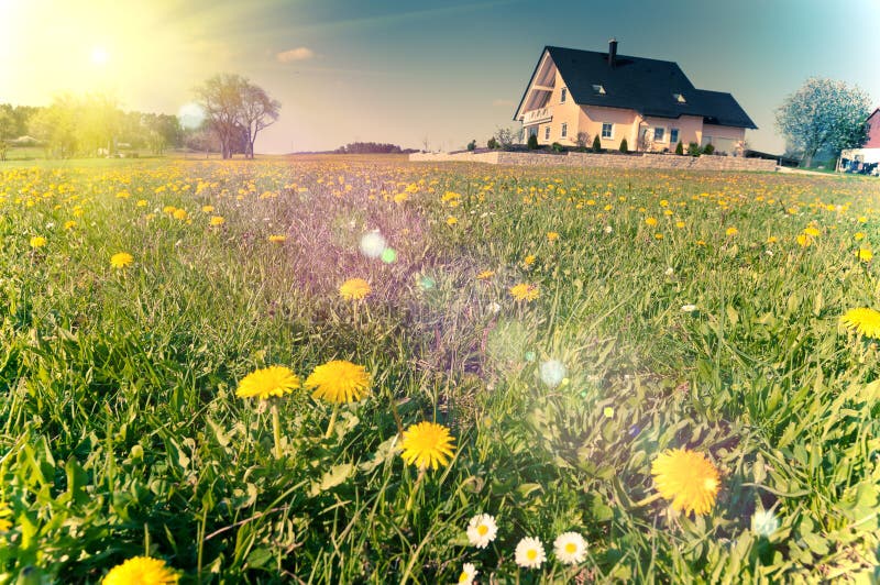 Spring meadows around a rural house, tinted image. Spring meadows around a rural house, tinted image