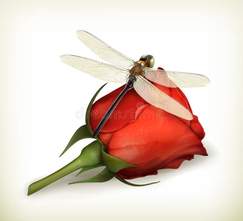 Dragonfly and rose, computer illustration on white background. Dragonfly and rose, computer illustration on white background