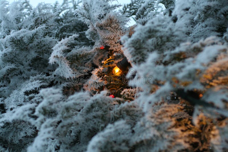 Kerstverlichting stock afbeeldingen