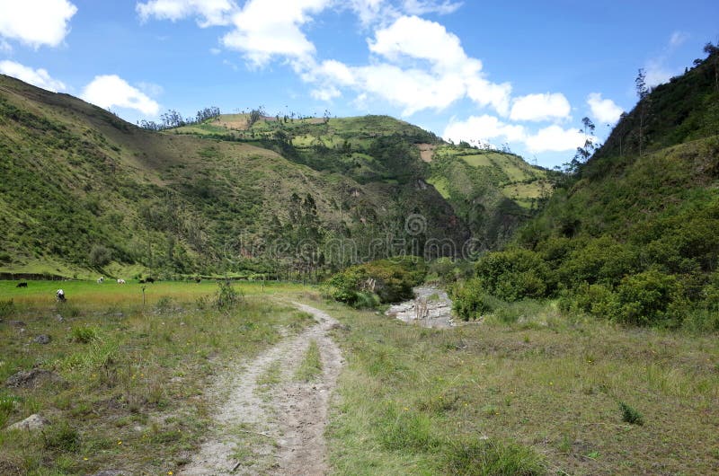 De looppas van Riviertoachi door de Ecuatoriaanse Andes stock afbeeldingen De looppas van Riviertoachi door de Ecuatoriaanse Andes stock afbeeldingen