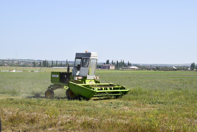 De maaimachine op het gebied maait het gras voor hooi stock afbeelding De maaimachine op het gebied maait het gras voor hooi stock afbeelding