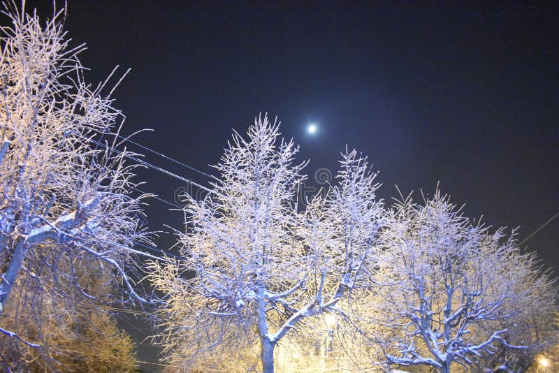 De maan in de hemel Het schot van de nacht De Horizon van de Stad van de nacht Strenge vorstschoonheid van aard royalty-vrije stock fotografie De maan in de hemel Het schot van de nacht De Horizon van de Stad van de nacht Strenge vorstschoonheid van aard royalty-vrije stock fotografie