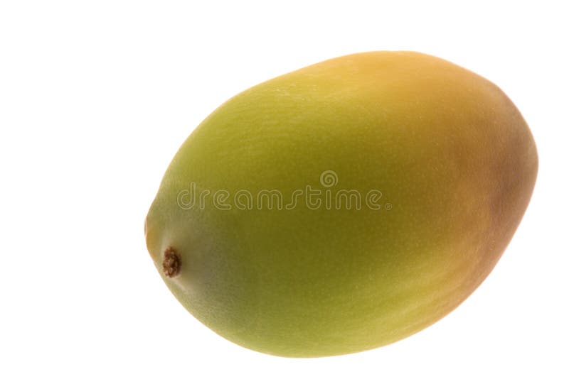 Macro van Lotuszaad stock foto's