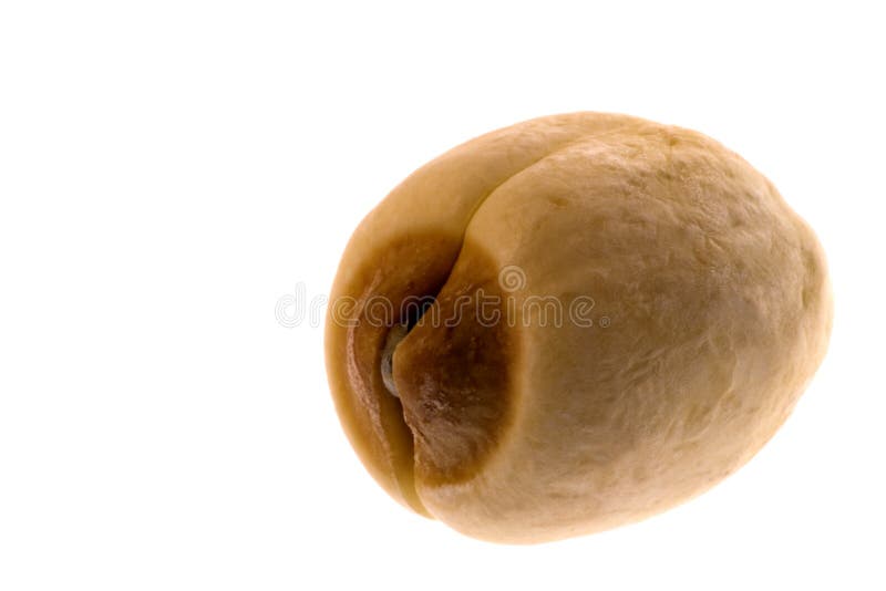 Macro van Lotuszaadjes stock foto