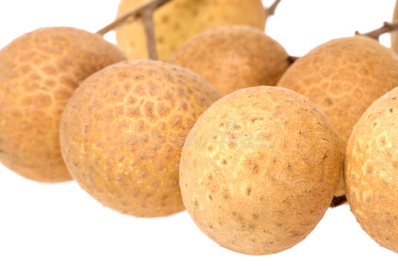 Longans Macro stock foto's