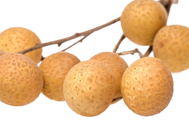 Longans Macro royalty-vrije stock foto's