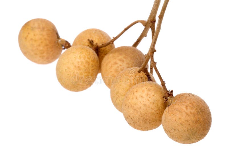 Longans Macro royalty-vrije stock foto