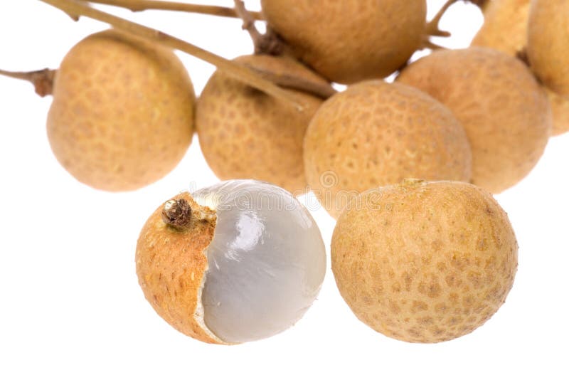 Longans Macro royalty-vrije stock afbeeldingen