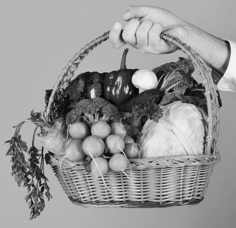De mannelijke hand houdt veggies op rode achtergrond De landbouwer houdt kool, radijs, peper, broccoli, wortel, paddestoel en sla royalty-vrije stock foto De mannelijke hand houdt veggies op rode achtergrond De landbouwer houdt kool, radijs, peper, broccoli, wortel, paddestoel en sla royalty-vrije stock foto