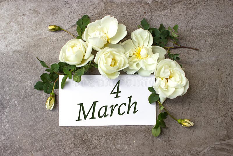 March 4th. Day 4 of month, Calendar date. White roses border on pastel grey background with calendar date. Spring month, day of the year concept. March 4th. Day 4 of month, Calendar date. White roses border on pastel grey background with calendar date. Spring month, day of the year concept