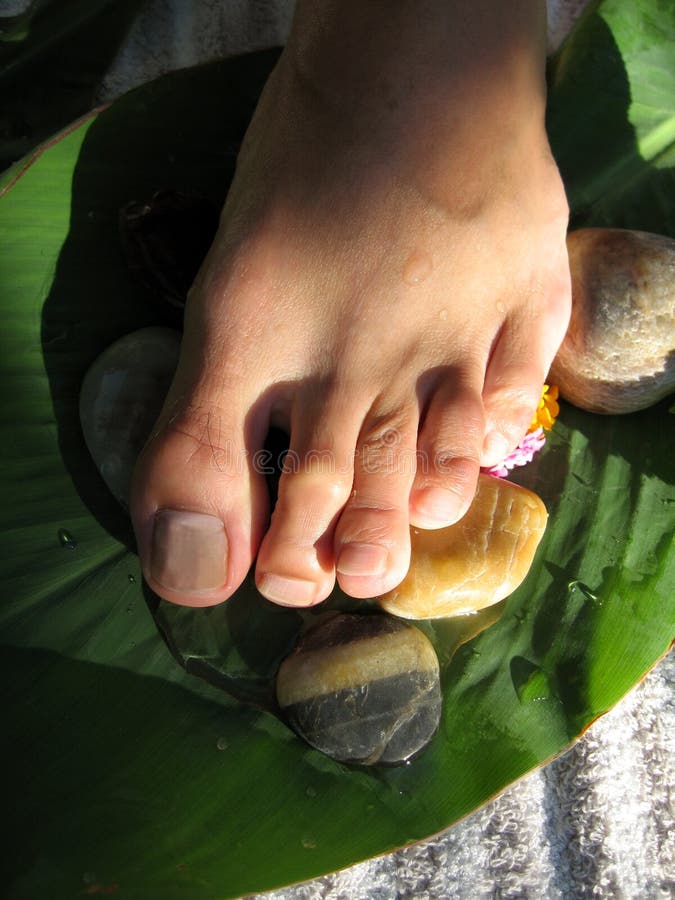 De Massage van de voet