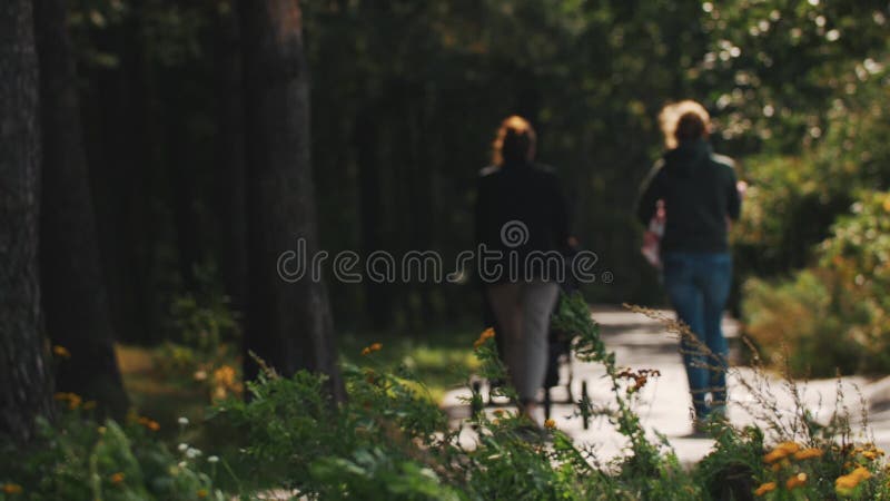 De meisjes koppelen het lopen aan kind en kinderwagen langs een weg in bos