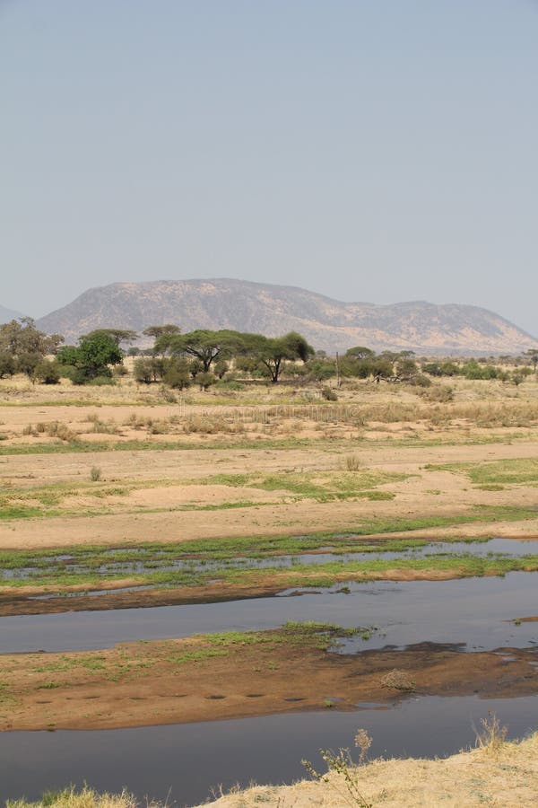 De mening van heuvels en verschillend milieu bij ruaha nationaal park stock foto De mening van heuvels en verschillend milieu bij ruaha nationaal park stock foto