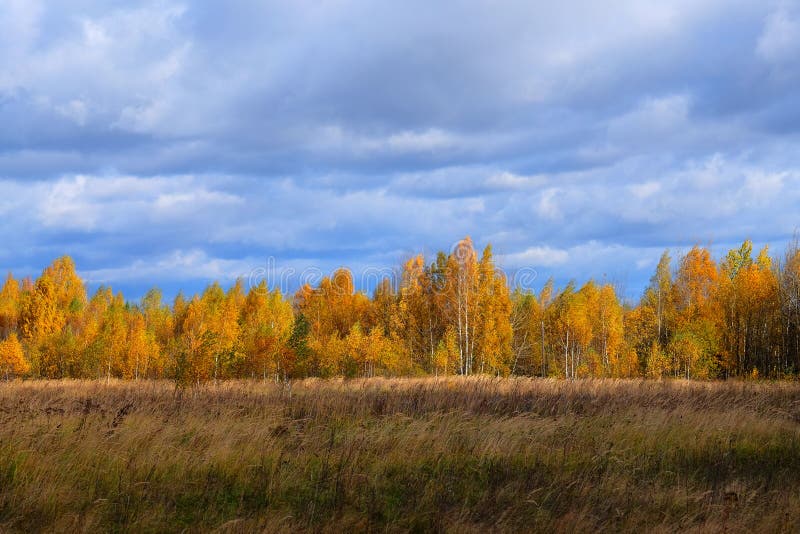 De mening van de weide in de herfst royalty-vrije stock afbeelding De mening van de weide in de herfst royalty-vrije stock afbeelding