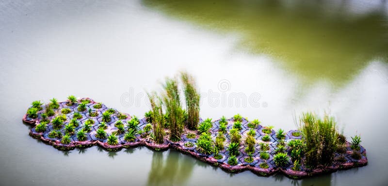 De mens Gemaakte Drijvende Waterweg Singapore van Punggol van het Moerasland royalty-vrije stock fotografie De mens Gemaakte Drijvende Waterweg Singapore van Punggol van het Moerasland royalty-vrije stock fotografie